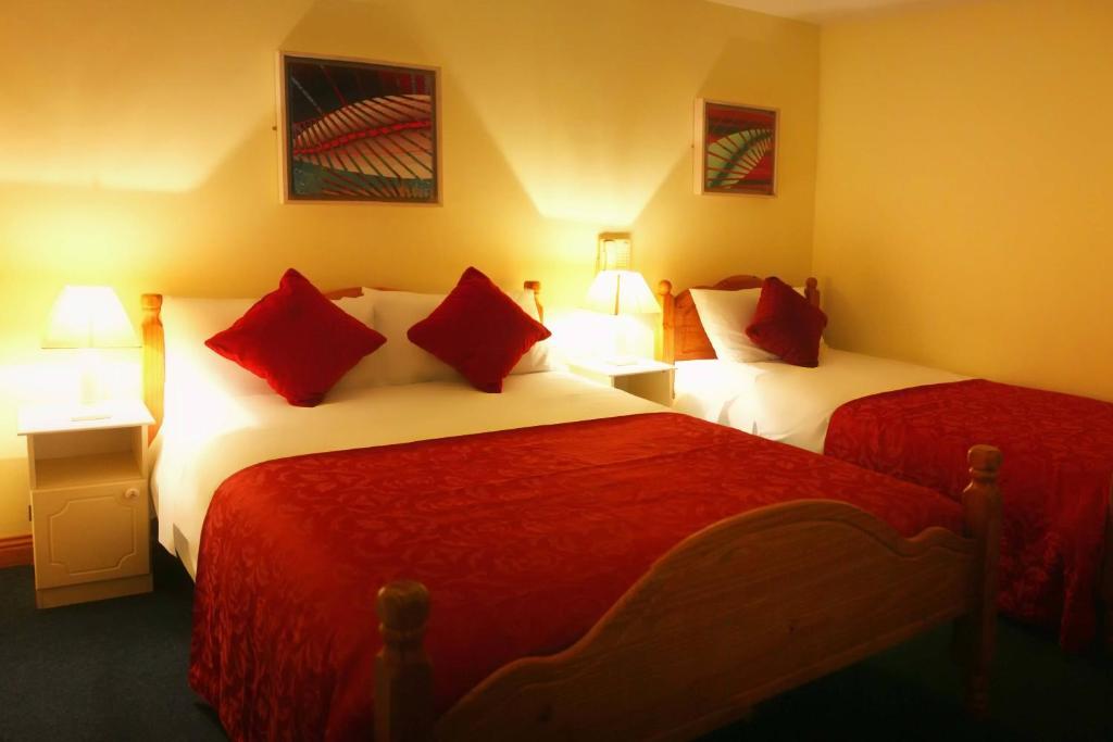 Mccarthy'S Lodge B&B Westport Værelse billede
