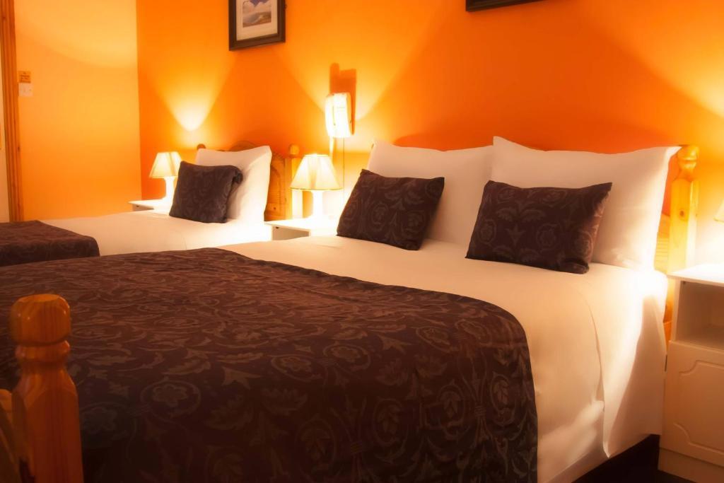 Mccarthy'S Lodge B&B Westport Eksteriør billede